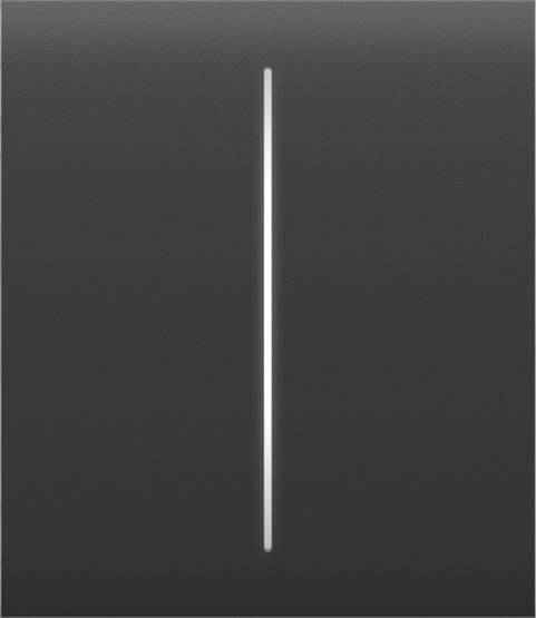 AJAX CenterButton 2-gang Graphite Stredové tlačidlo