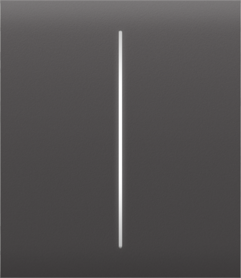 AJAX CenterButton 2-gang Grey Stredové tlačidlo