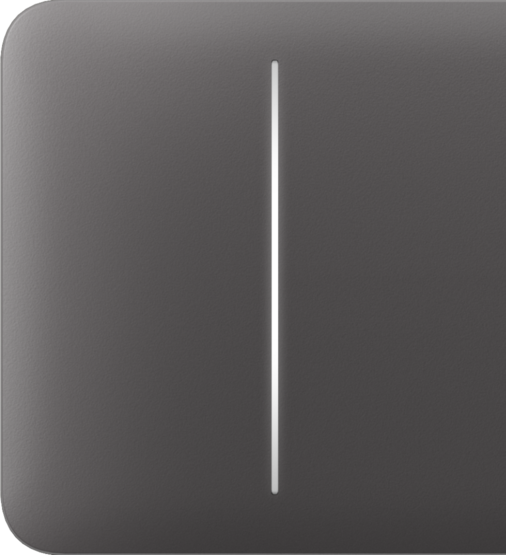 AJAX SideButton 2-gang Grey Bočné tlačidlo