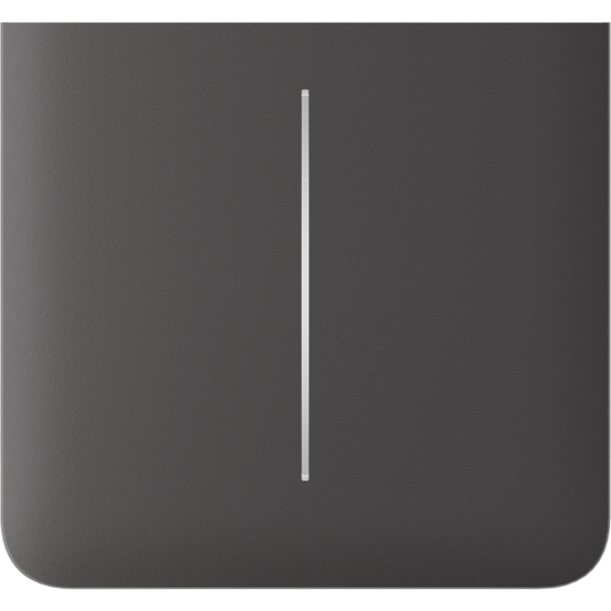 AJAX SideButton 2-gang vertical Grey Bočné tlačidlo